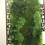 Neptun
